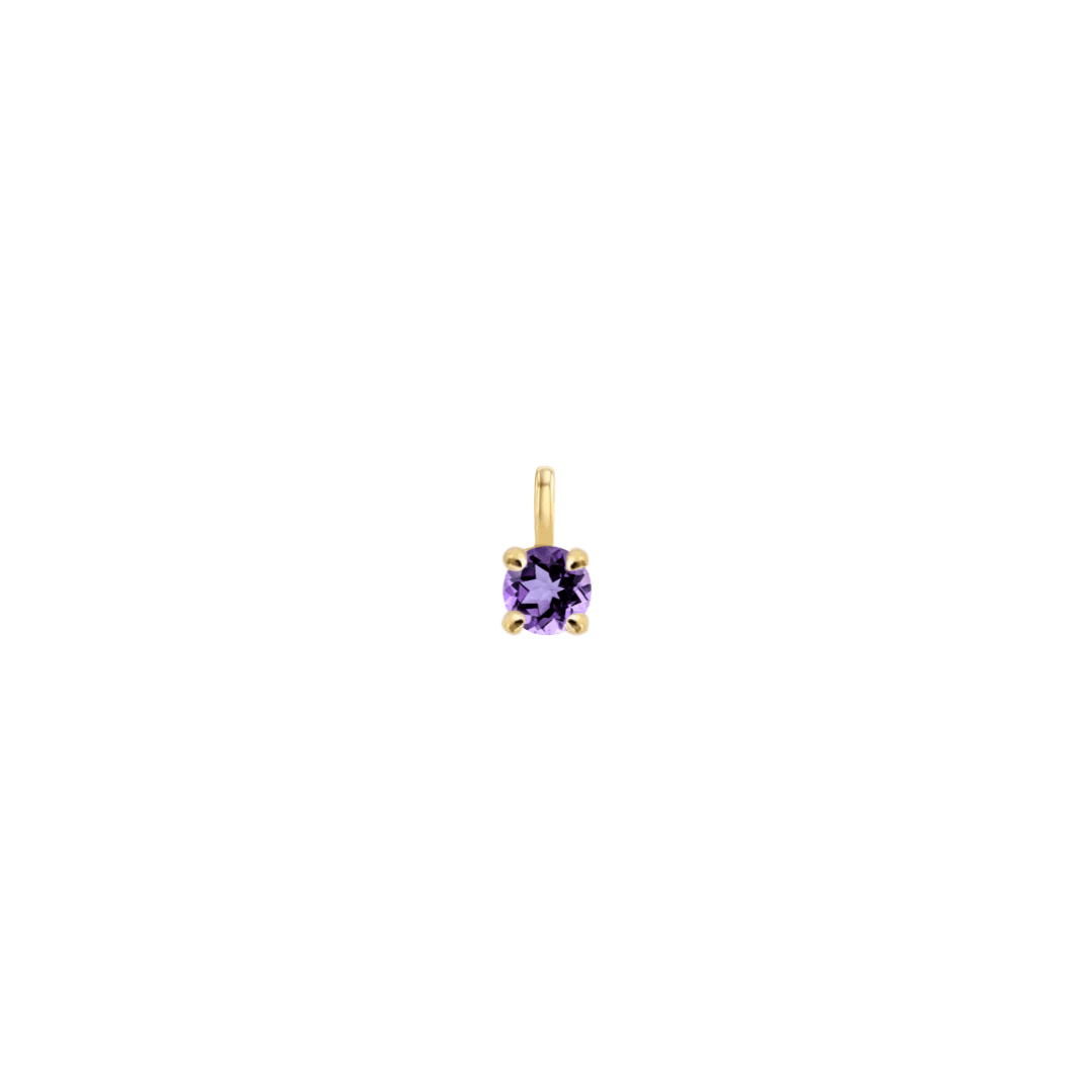 EFStudios February - Amethyst February Birthstone Pendant