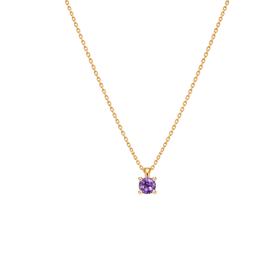 EFStudios 9k Yellow Gold / February - Amethyst Birthstone Pendant - January Garnet