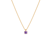 EFStudios 9k Yellow Gold / February - Amethyst Birthstone Pendant - January Garnet