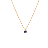 EFStudios 9k Yellow Gold / June - Alexandrite Birthstone Pendant - January Garnet
