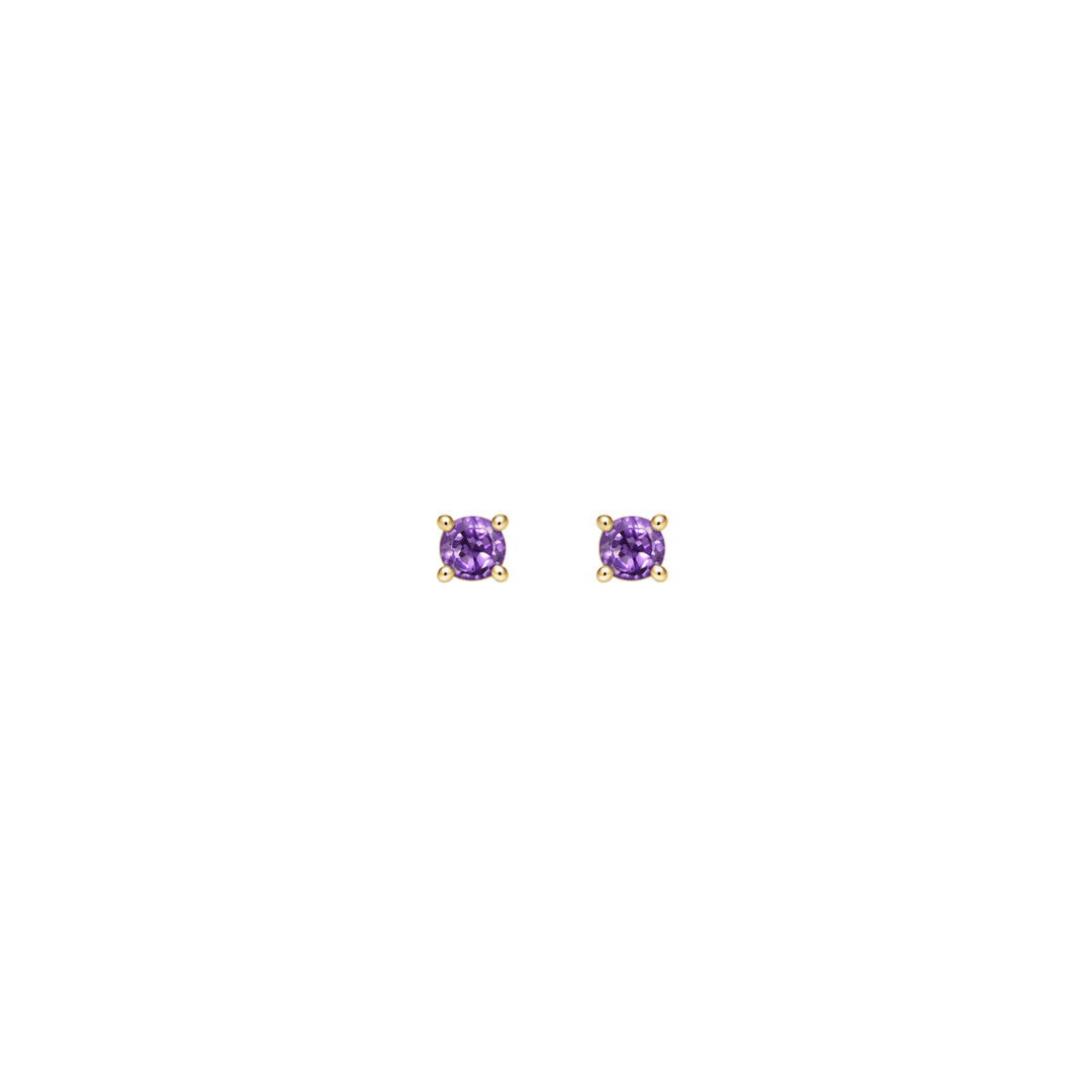 EFStudios Birthstone Earrings - Amethyst